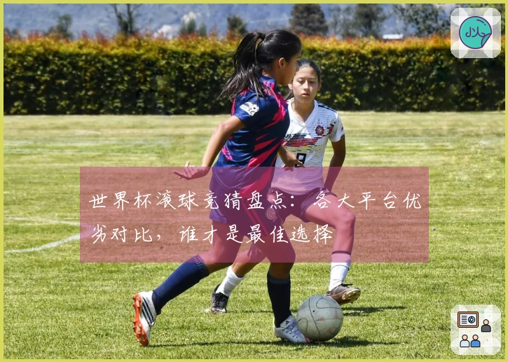 世界杯滚球竞猜盘点：各大平台优劣对比，谁才是最佳选择