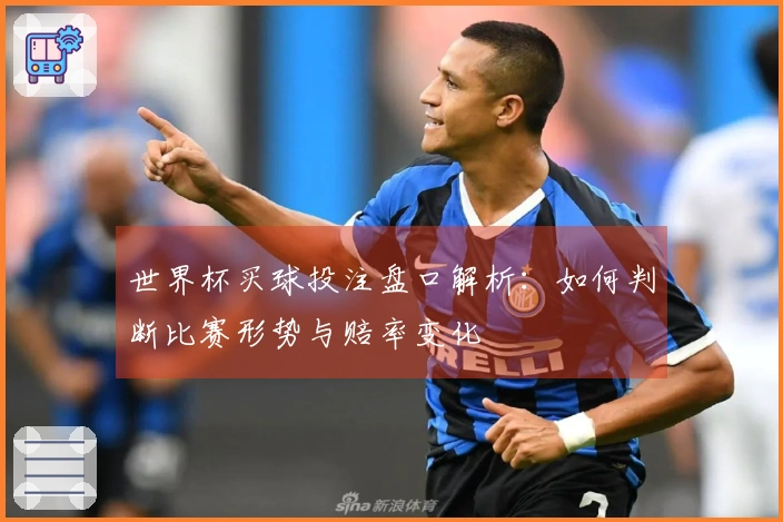 世界杯买球投注盘口解析：如何判断比赛形势与赔率变化