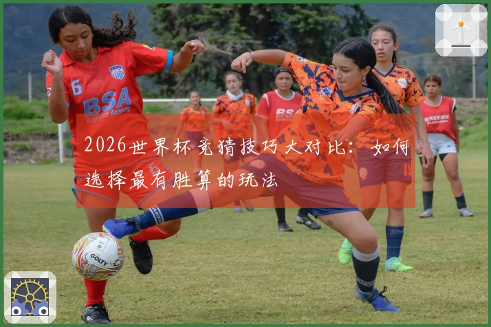 2026世界杯竞猜技巧大对比：如何选择最有胜算的玩法