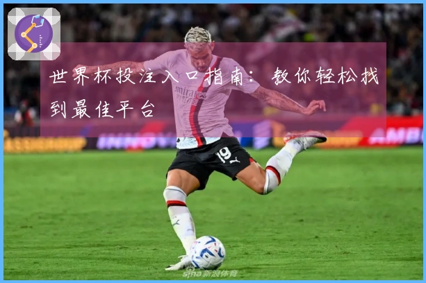 世界杯投注入口指南：教你轻松找到最佳平台