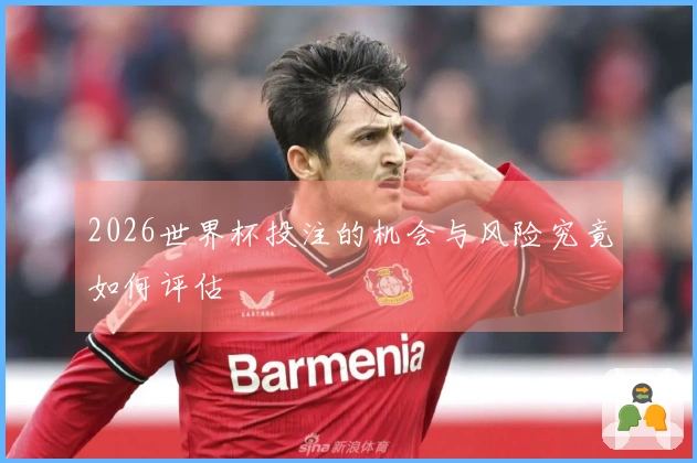2026世界杯投注的机会与风险究竟如何评估
