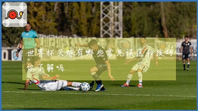 世界杯买球有哪些常见误区和技巧你了解吗