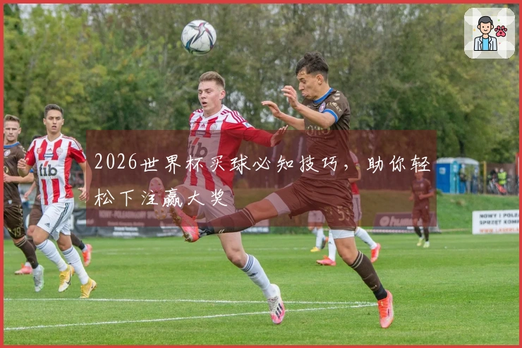2026世界杯买球必知技巧，助你轻松下注赢大奖