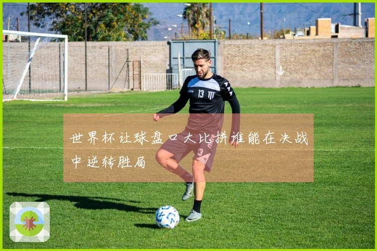 世界杯让球盘口大比拼谁能在决战中逆转胜局